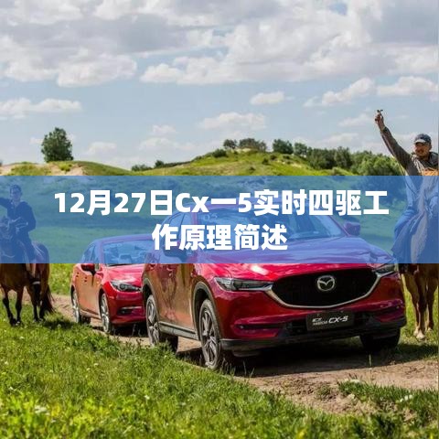 成功案例 第93頁