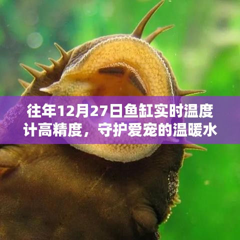 往年12月27日高精度魚缸溫度計(jì)，守護(hù)寵物溫暖水域