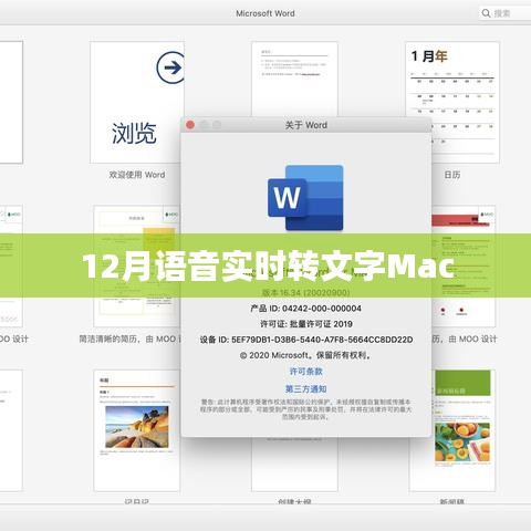 語音實(shí)時(shí)轉(zhuǎn)文字Mac軟件使用指南