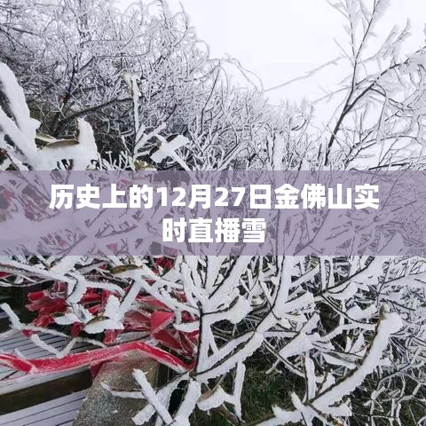 金佛山雪景直播回顧，歷史上的雪韻風(fēng)華