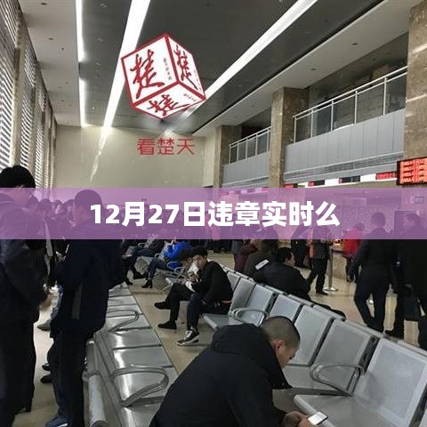 12月27日違章實時查詢