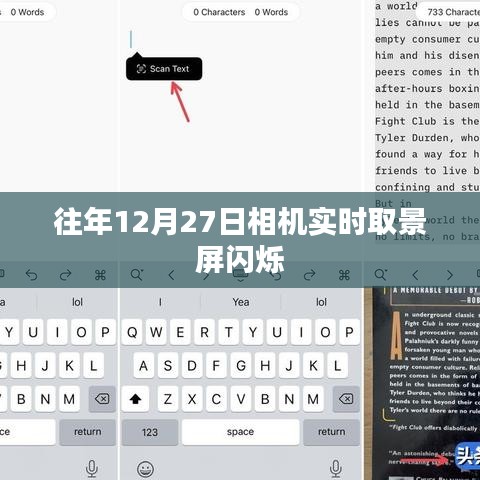 相機(jī)取景屏閃爍問題解析