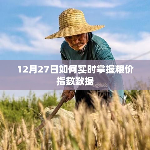 12月27日掌握實(shí)時(shí)糧價(jià)指數(shù)數(shù)據(jù)的方法