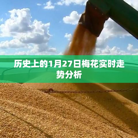 梅花實(shí)時(shí)走勢(shì)分析，歷史數(shù)據(jù)解讀與未來預(yù)測(cè)（1月27日）