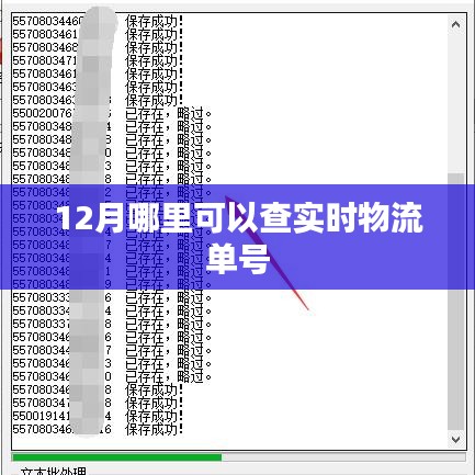 12月實(shí)時(shí)物流單號(hào)查詢(xún)攻略