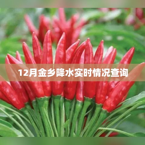 金鄉(xiāng)實時降水查詢報告