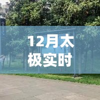 太極實時單，12月實戰(zhàn)體驗分享