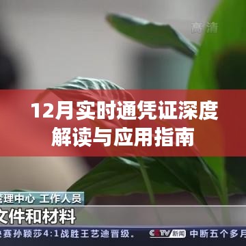 12月實(shí)時(shí)通憑證解讀與應(yīng)用指南，深度解析