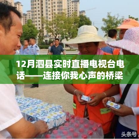 泗縣直播電視臺電話，連接您我心聲的通信橋梁