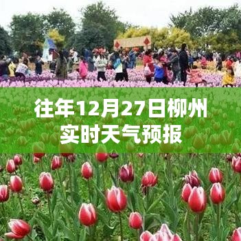 柳州往年12月27日實(shí)時(shí)天氣預(yù)報(bào)概況