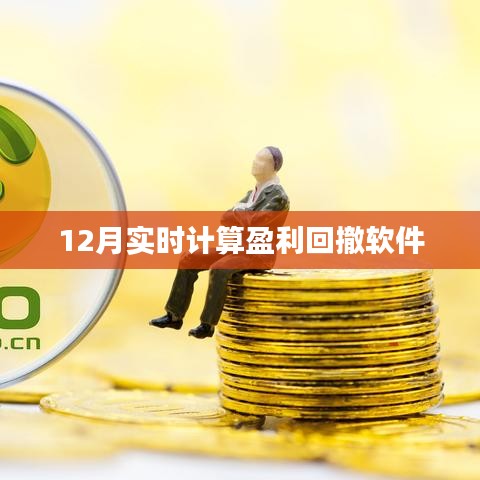 實(shí)時(shí)計(jì)算盈利回撤軟件最新動(dòng)態(tài)，12月表現(xiàn)如何？