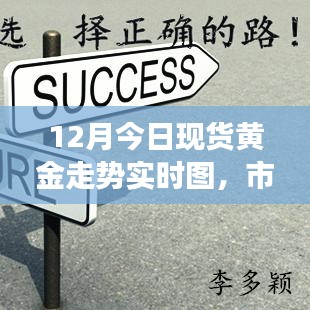 黃金走勢實(shí)時(shí)圖解析，市場分析與展望