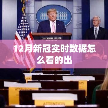 12月新冠實(shí)時(shí)數(shù)據(jù)解析指南