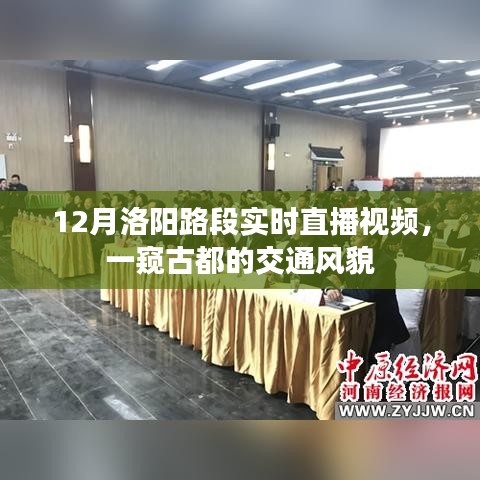 洛陽路段實時直播，古都交通風(fēng)貌一瞥