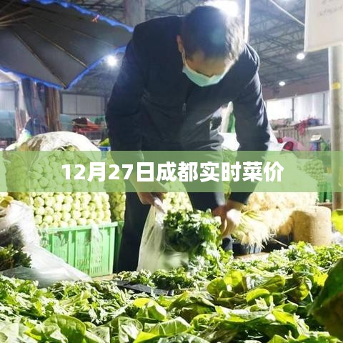 成都最新菜價，12月27日實時更新