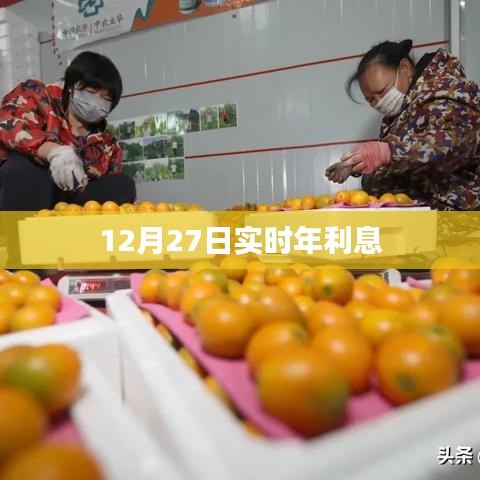 12月27日最新實時年利息查詢