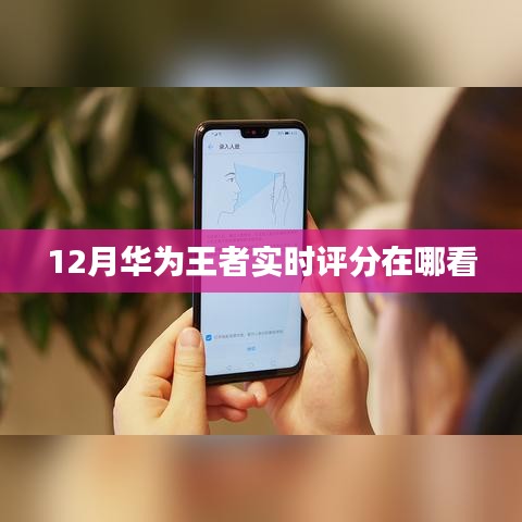 華為王者實(shí)時(shí)評(píng)分查詢攻略
