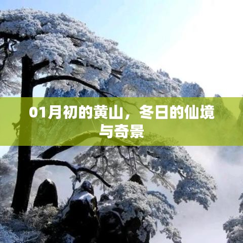 鳥面鵠形 第2頁