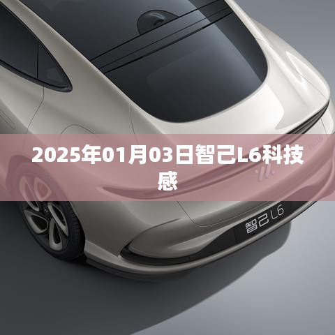 生張熟魏 第2頁
