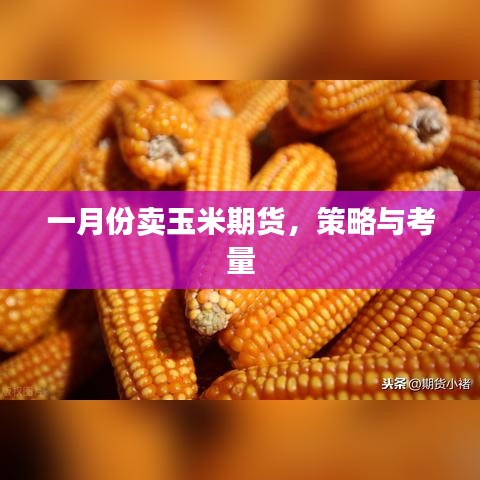 一月份玉米期貨銷售策略與考量
