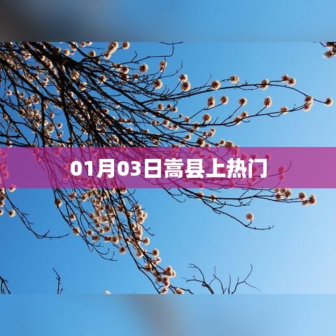 嵩縣上熱搜，最新消息揭秘！