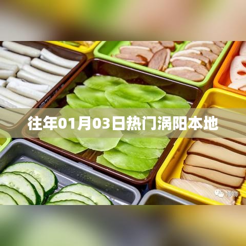 渦陽本地歷年元旦熱門事件回顧