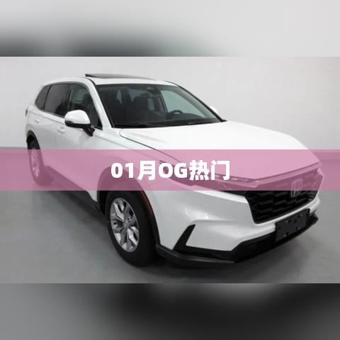 曇花一現(xiàn) 第2頁(yè)