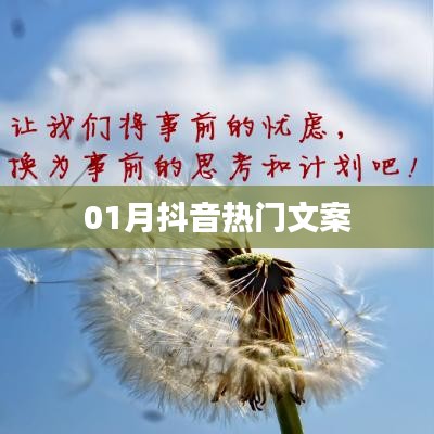 抖音熱門(mén)文案精選，創(chuàng)意文案一網(wǎng)打盡！