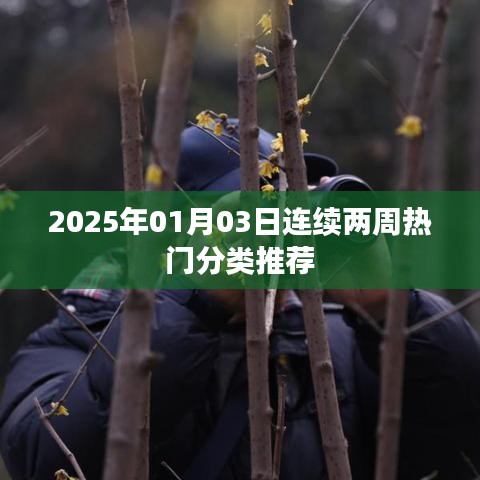 連續(xù)兩周熱門分類推薦，2025年最新動態(tài)