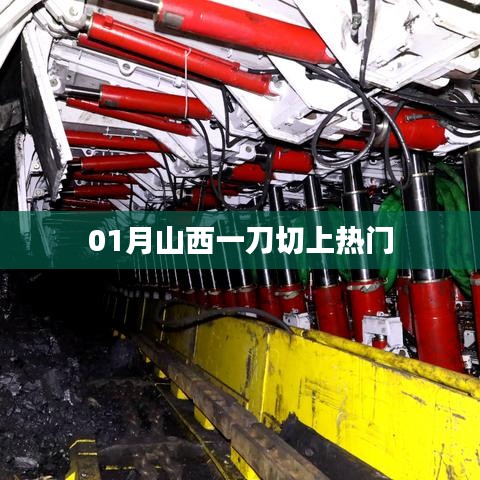 山西一月份一刀切政策引熱議