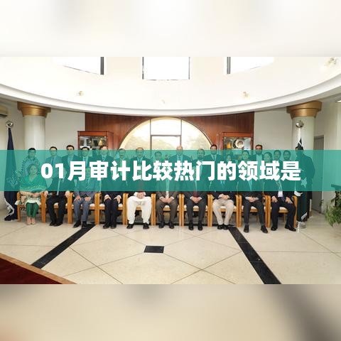 01月審計(jì)熱門領(lǐng)域概覽