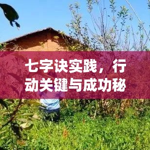 七字訣實踐，行動關鍵與成功秘訣