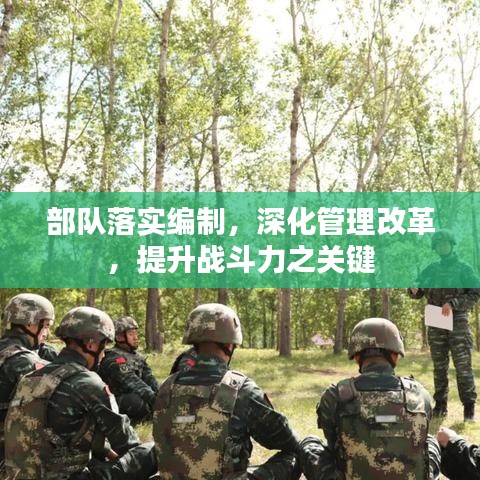 部隊落實編制，深化管理改革，提升戰(zhàn)斗力之關(guān)鍵