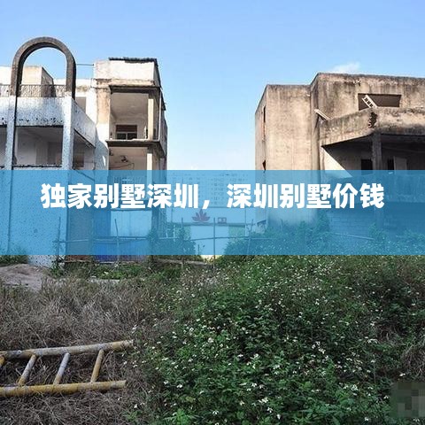 獨(dú)家別墅深圳，深圳別墅價(jià)錢