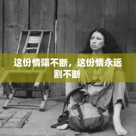 這份情隔不斷，這份情永遠(yuǎn)割不斷