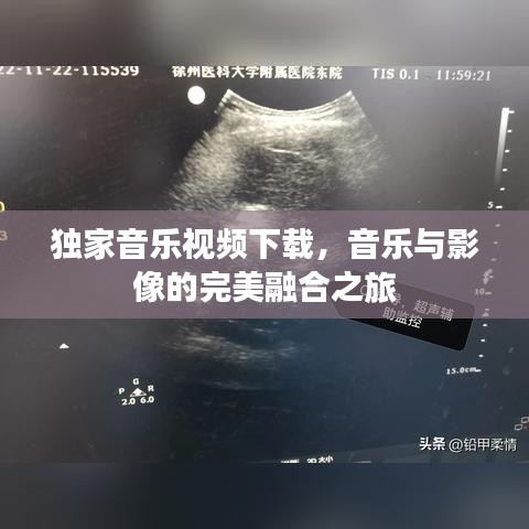 獨(dú)家音樂視頻下載，音樂與影像的完美融合之旅