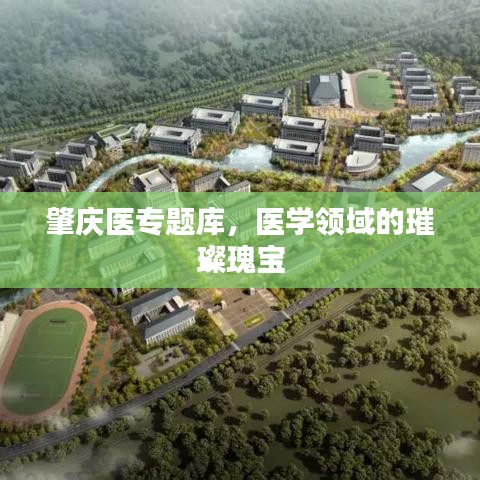 肇慶醫(yī)專題庫，醫(yī)學領域的璀璨瑰寶