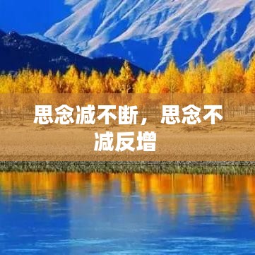 思念減不斷，思念不減反增