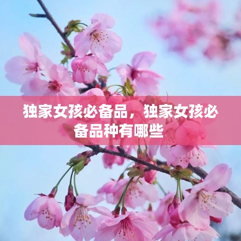 獨家女孩必備品，獨家女孩必備品種有哪些
