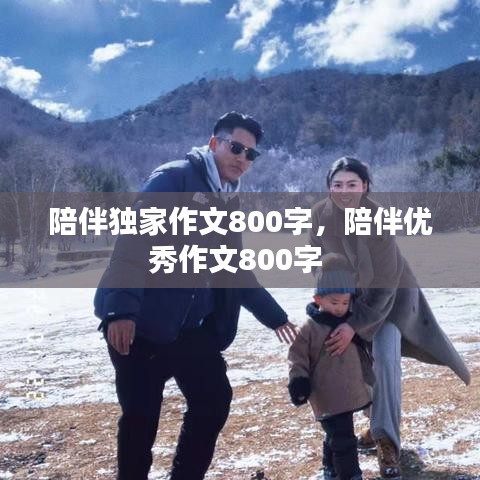 陪伴獨(dú)家作文800字，陪伴優(yōu)秀作文800字