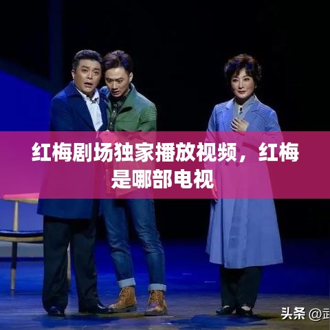 紅梅劇場獨家播放視頻，紅梅是哪部電視