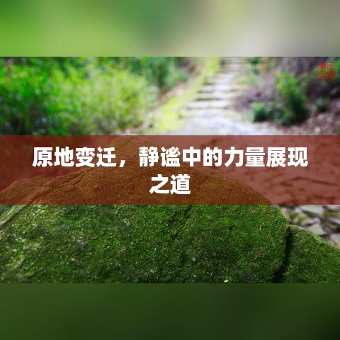 原地變遷，靜謐中的力量展現(xiàn)之道