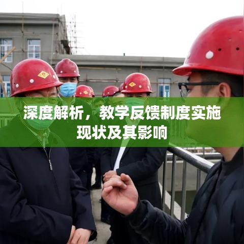 深度解析，教學(xué)反饋制度實(shí)施現(xiàn)狀及其影響
