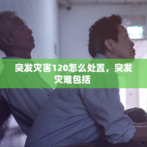 精耕細(xì)作 第2頁
