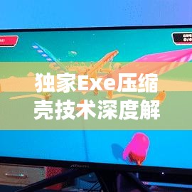 獨家Exe壓縮殼技術深度解析與應用探討