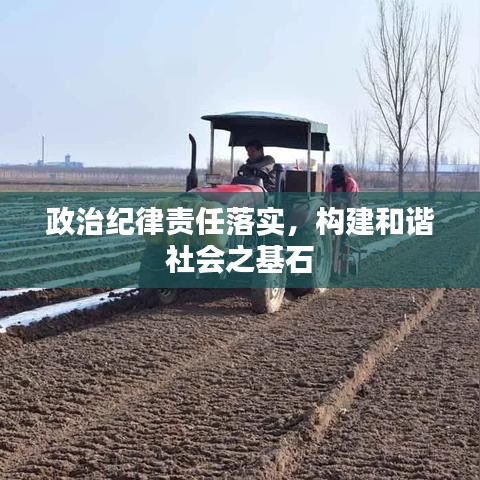 政治紀(jì)律責(zé)任落實(shí)，構(gòu)建和諧社會(huì)之基石