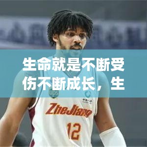生命就是不斷受傷不斷成長(zhǎng)，生命就是不斷的折騰