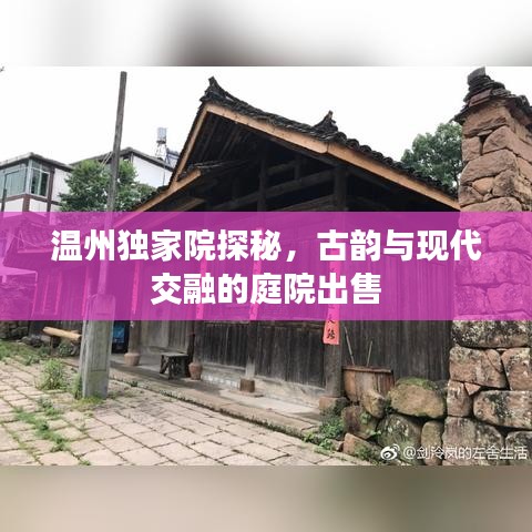 溫州獨家院探秘，古韻與現(xiàn)代交融的庭院出售