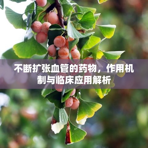 不斷擴張血管的藥物，作用機制與臨床應(yīng)用解析
