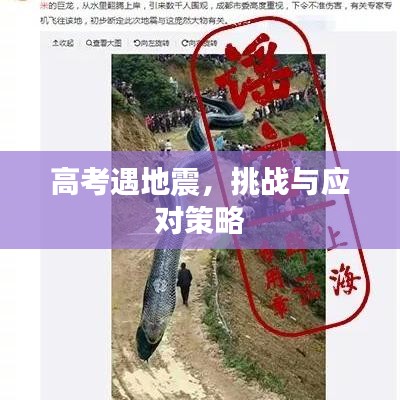 高考遇地震，挑戰(zhàn)與應(yīng)對策略